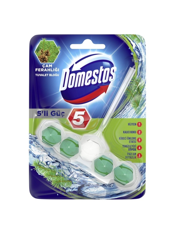 Domestos 5'li Güç Çam Ferahlığı 55 Gr